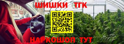 стаф Малгобек