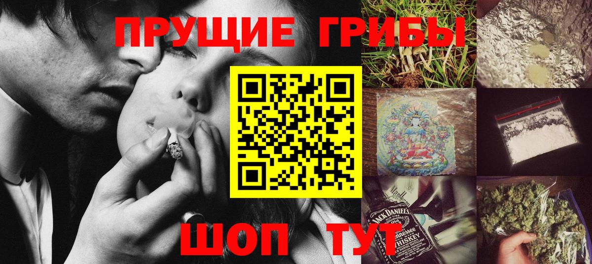 Псилоцибиновые грибы Cubensis Усть-Джегута